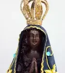 45 Anos da ALAMS: Histórico das Cadeiras e Acadêmicos